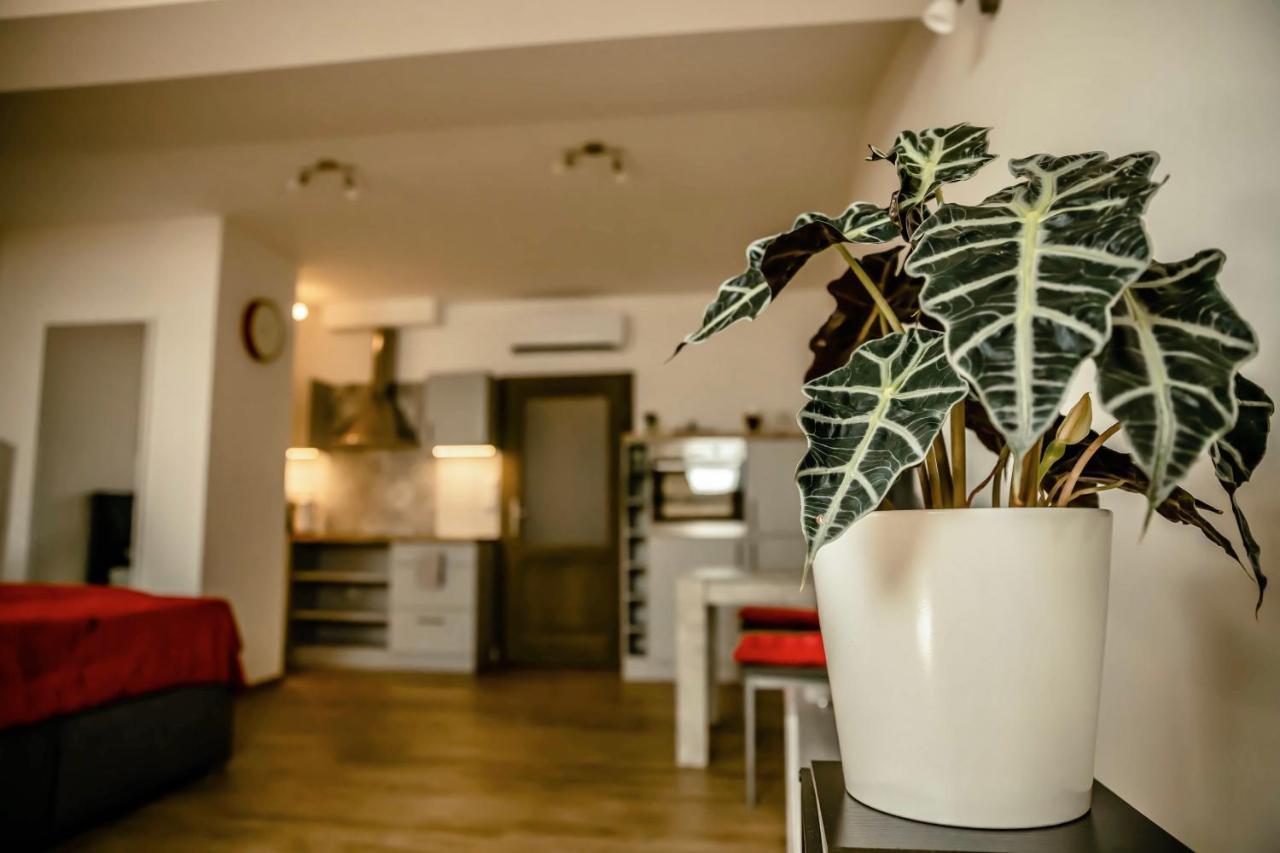 Hradec Králové Podkrovni Studio Na Velkem Namesti S Wi-Fi Zdarma מראה חיצוני תמונה
